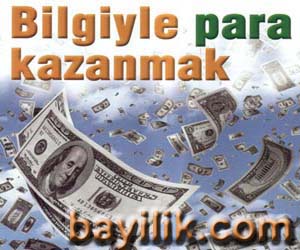 bilgi1.jpg (31140 bytes)